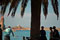 harbour view Collioure France